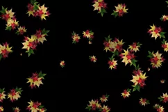 50 FALLING LEAVES TRANSPARENT PNG FILES, PHOTOSHOP OVERLAYS Product Image 7