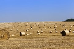 agricultural field with straw stacks Product Image 1