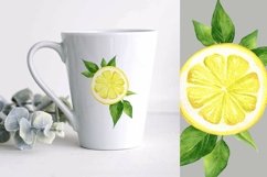 Watercolor lemons set. Citrus clipart, compositions, wreaths Product Image 9