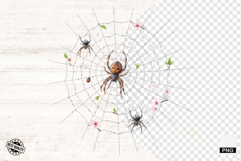 Spider Webs Clipart Product Image 1
