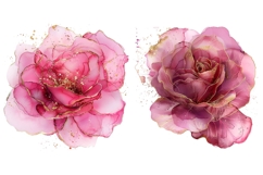 30 Watercolor Rose Clipart, Pink Floral PNG, Wedding Flowers Product Image 8