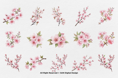 15 Bundle Watercolor Sakura Flower Cherry Blossom Japanese Product Image 8