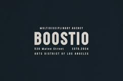Nexline Bold Sans Serif Font Product Image 8