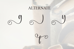 History Product Image 8