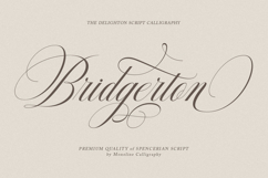 Delighton Script Product Image 8