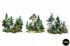 Watercolor Forest Tree Clipart , Watercolor Clipart Product Image 1