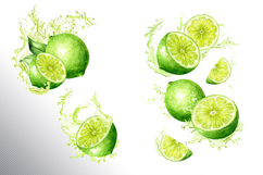 Lime citrus. Watercolor collection Product Image 9
