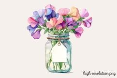 Sweet Pea Flower Watercolor Clipart Bundle PNG Product Image 12