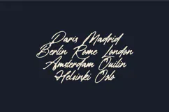 Rovik Angular Brush Script Font Product Image 8