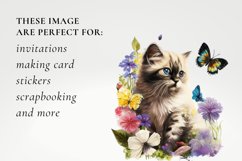 Watercolour Fantasy Kitten Clipart Product Image 2