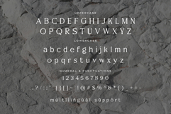 Parceh Serif Font Product Image 8