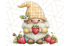 Summer Garden Gnomes Clipart PNG, Summer Country Gnomes Png Product Image 4