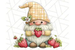 Summer Garden Gnomes Clipart PNG, Summer Country Gnomes Png Product Image 4