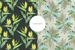 Delicate Tropics Watercolor Clipart Collection Product Image 3