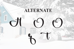 Home Winter Product Image 8