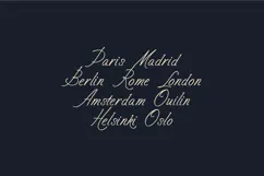 Sorel Lyrical Signature Script Font Product Image 8