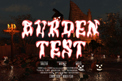 Birdsun Melted - A Playful Font Duo Product Image 7