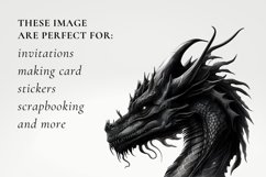 Watercolour Fantasy Black Dragon Clipart Product Image 2