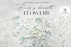 Baby’s Breath Clipart Pack| Floral Watercolor PNG. Product Image 6