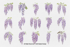 15 Bundle Watercolor Wisteria Flower Romantic Japanese Product Image 8