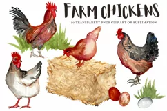 Farm Chickens Watercolor Clipart Illustration Hen & Rooster Product Image 1