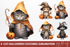 Cat Halloween Costumes clipart Designs Product Image 1