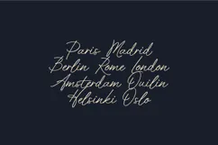 Volda Fluid Signature Script Font Product Image 8