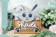 Bunny Money Box svg, Coin Bank svg, Glowforge laser svg Product Image 1