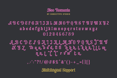 Neo Romania - Modern Serif Font Product Image 8
