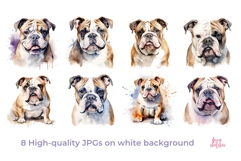 Watercolor Bulldog Clipart Set Cute Dog Illustration Bundle Product Image 2
