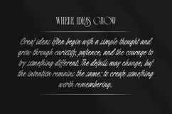 Roesent Font Duo Product Image 8