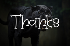 Black Jaguar Product Image 8