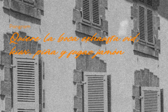 Paline Stylish Script Font Product Image 8