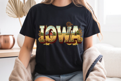 Iowa State Pride PNG, Vintage Farmhouse sublimation Design Product Image 8