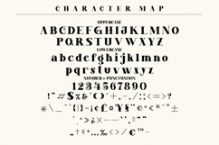 Magkon Product Image 4