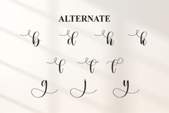 Dingbat Product Image 8