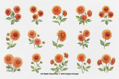 15 Bundle Watercolor Dahlia Flower Blossom Orange Floral Product Image 8