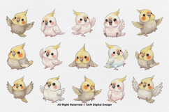 15 Bundle Watercolor Cute Baby Parrot Bird Macaw Parakeet Product Image 8