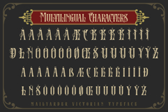 Mailyarder for Vintage Logo &amp; Liquor Product Image 8