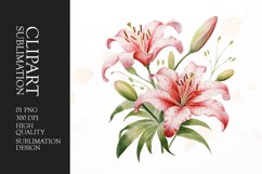 Watercolor lilies flower sublimation clipart Product Image 1