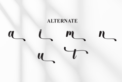 Manchester Product Image 8