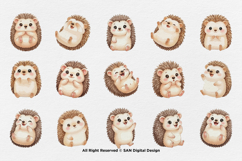 15 Bundle Watercolor Hedgehog Animal Cartoon Kids Thorns Product Image 8