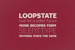 LUMA Prime Modern Typeface Product Image 8