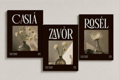 Linneva - Luxury Ligature Serif Font Product Image 8