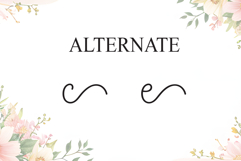 Welcome Product Image 8