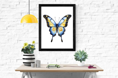 Butterfly Blue Yellow Watercolor Sublimation Product Image 8