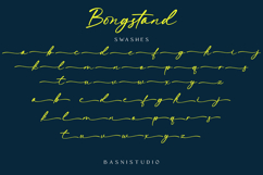 Bongstand Elegant Handwritten Font Product Image 8