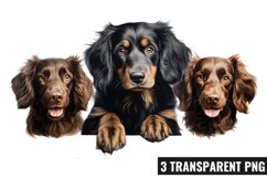 Peeking Dog Collection Clipart, Dog Collection Sublimation Product Image 1