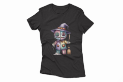 Witch Hat Stitched Doll Broom Halloween Voodoo PNG Product Image 4