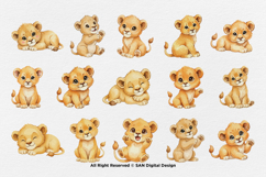 15 Bundle Watercolor Cute Lion King Jungle Animal Wildlife Product Image 8